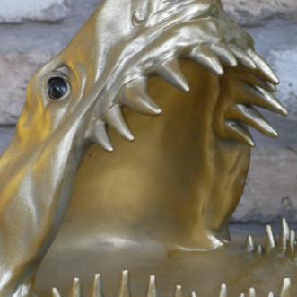 Shark Dish