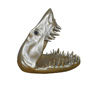 Shark Dish