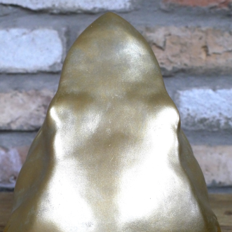 Shark Dish