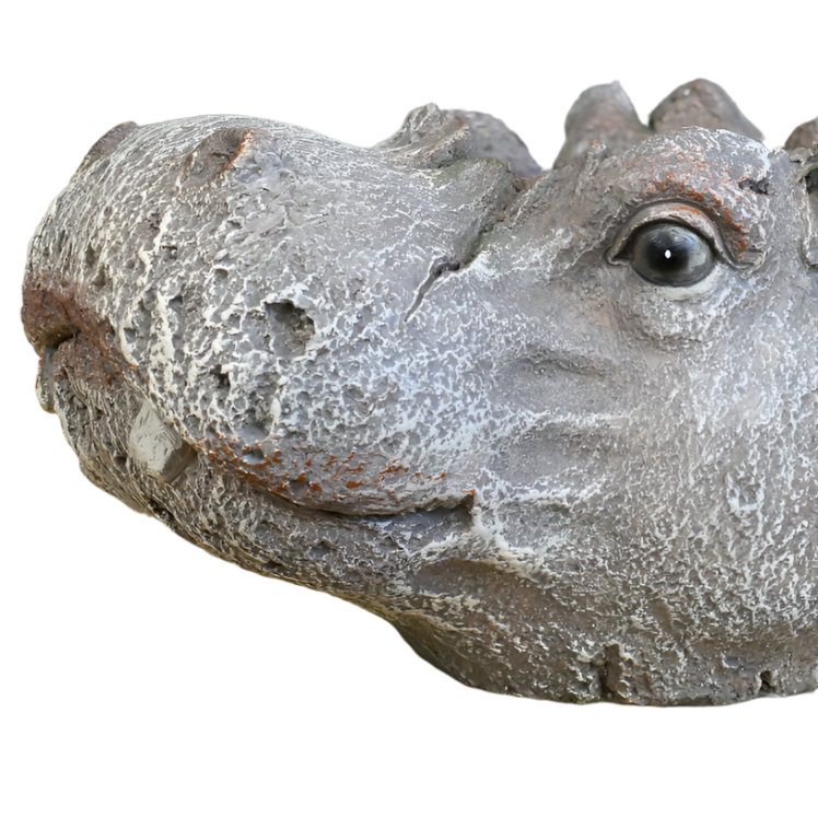 Hippo Head Planter