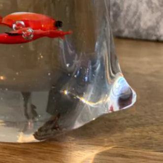 Goldfish in a Glass Bag Paperweight